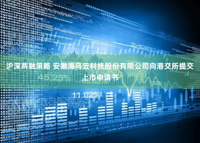 沪深两融策略 安徽海马云科技股份有限公司向港交所提交上市申请书
